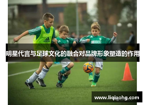 明星代言与足球文化的融合对品牌形象塑造的作用