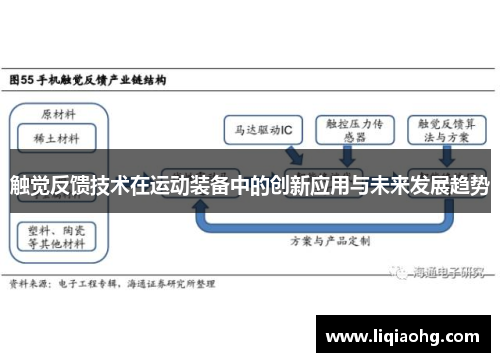 触觉反馈技术在运动装备中的创新应用与未来发展趋势